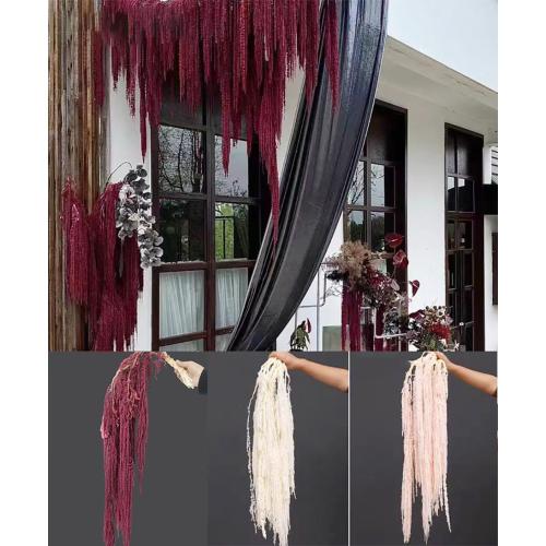 5 Pcs Bleached Wisteria Vine Hanging Dried Flowers, Natural Preserved Hanging Amaranthus Flowers for Wedding Bouquet, Wall Home Party Decor (Wine Red)