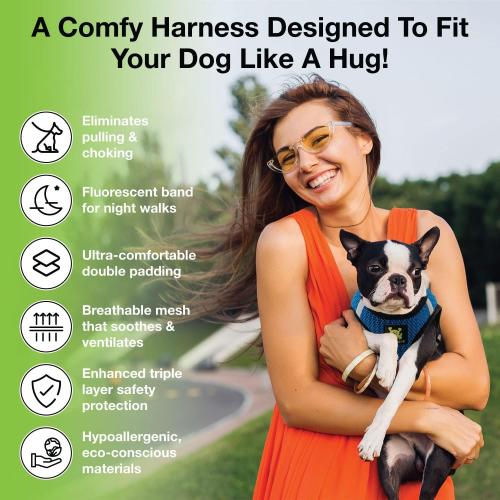 EcoBark Step in Dog Harness - Eco-Friendly Teacup Dog Harnesses for XXS, XS, and Small Dogs - Reflective and Adjustable Mini Body Halter Vest -Tiny Soft Mesh Toy Breed Harness (Bright Blue, XXS)