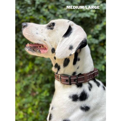 Tuff Pupper Heavy Duty Dog Collar with Handle