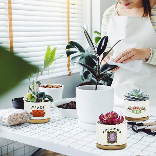3 Pcs Friends tv Show Cute Merchandise Ceramic Plant Pots,Funny Friends Decor Themed Gifts for Women,for House Plants Garden Planters Succulent Pots(Not Included Plants)