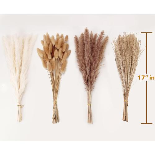 Dried Pampas Grass Decor, 100 Stems Pampas Grass Contains Bunny Tails Dried Flowers, Reed Grass Bouquet for Wedding Boho Flowers Home Table Decor, Rustic Farmhouse Party (17, White and Brown)