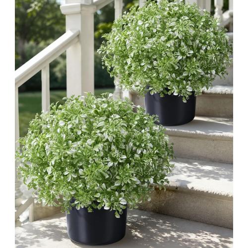 2 Pack Fake Potted Plants Artificial Plants for Outdoors Decor, Green White
