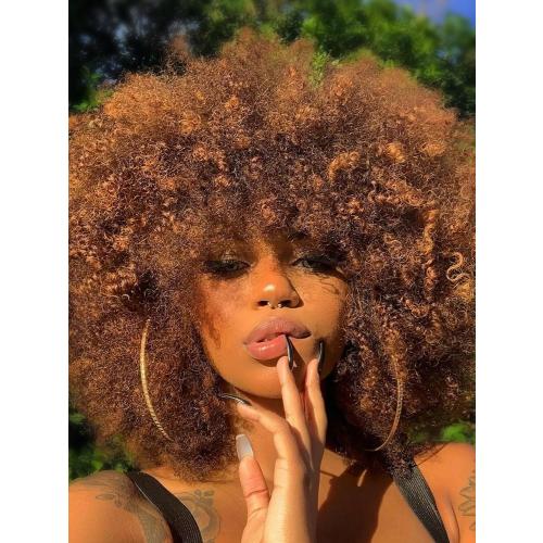 Afro Wig 14Inch Afro Wigs for Black Women 70s Mixed Brown Afro Kinky Curly Wig Bouncy Huge Fluffy Puff Wigs Synthetic Hair for Cosplay Daily and Party (Mixed Brown)