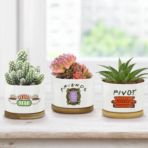 3 Pcs Friends tv Show Cute Merchandise Ceramic Plant Pots,Funny Friends Decor Themed Gifts for Women,for House Plants Garden Planters Succulent Pots(Not Included Plants)
