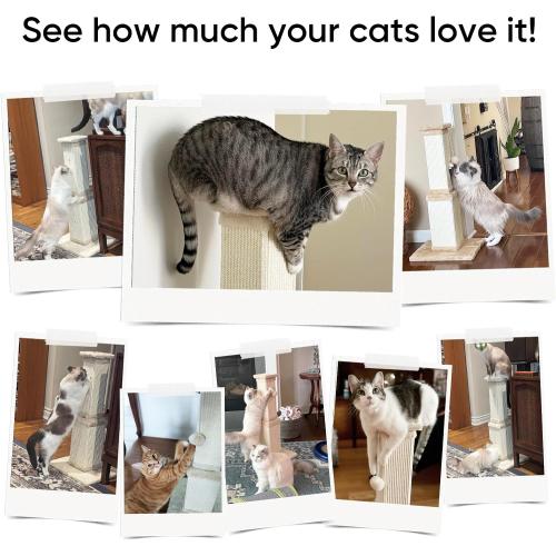 Cat Scratching Post for Indoor Cats, 32Inch Sisal Cat Scratcher, Beige