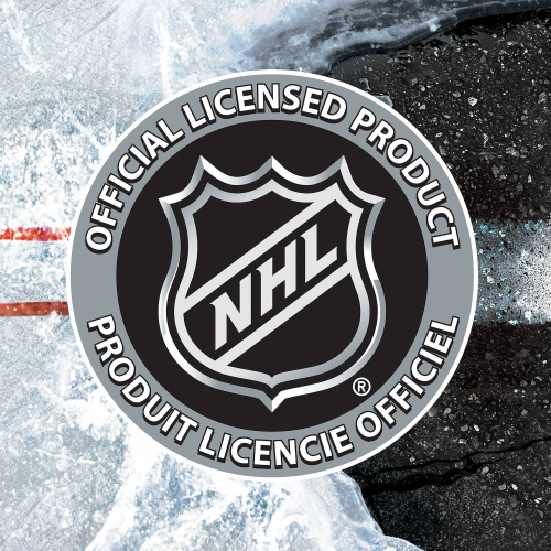 Franklin Sports NHL FiberTech Goal Backstop