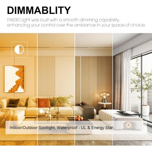 LightingWill 11W Par30 LED Bulb (75W Equivalent), UL Listed, 5000K Daylight White Dimmable Flood Light Bulbs, 850 Lumens, E26 Base, LED Recessed Light Bulbs for Indoor Outdoor, 12 Pack
