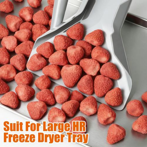 Freeze Dryer Scoop, for Large HR Home Freeze Dryer Trays, Durable Food-Safe Scoop for Freezer Dried Foods Handling, Easier to Dispense, Repackage and Transfer (Fit Large Tray)