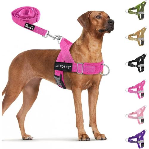 SlowTon No Pull Dog Harness and Leash Set - Heavy Duty, Soft Padded