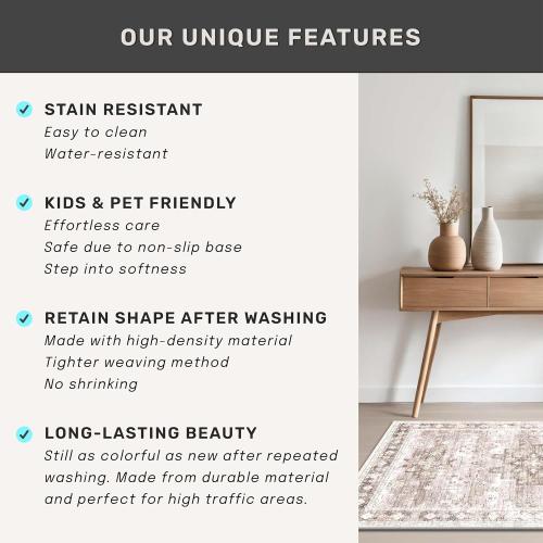 Boho Bathroom Rugs - Washable Non-Slip Soft Low Pile Area Rug for Entryway, Kitchen, and Indoor Spaces - Modern Farmhouse Design, Perfect for Boho Décor (2x3 Beige/Latte)