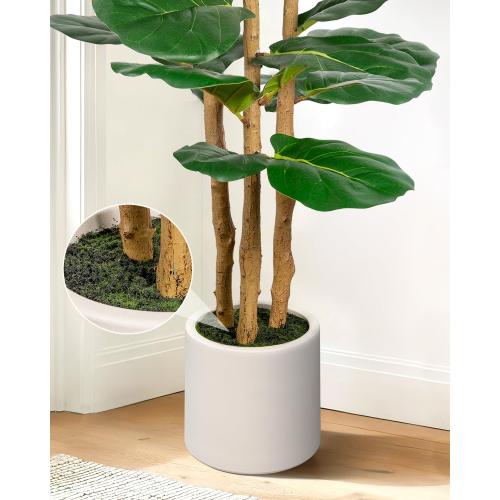 Artificial Fiddle Leaf Fig Tree in Modern White Planter, 5ft