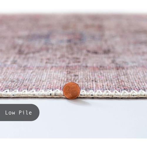 GLN Rugs Vintage Collection - Machine Washable Area Rug, Vintage Washable, Non Slip, Low Pile Rug, Living Room, Bedroom, Bathroom Rug - Easy Clean (2'6x7' Multi/Pink)
