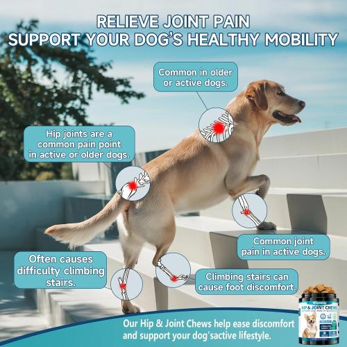 Woyamay Joint Supplement for Dogs, Glucosamine for Dogs,180 Soft Chews