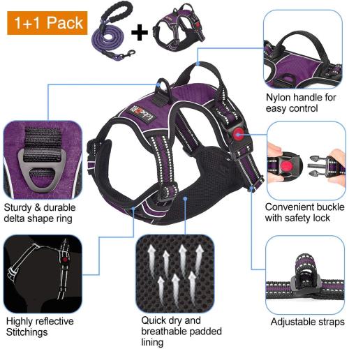 tobeDRI No Pull Dog Harness Adjustable Reflective Oxford Easy Control Medium Large Dog Harness with A Free Heavy Duty 5ft Dog Leash