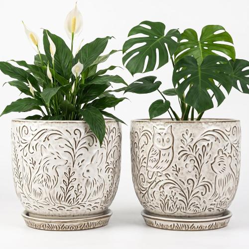 Decorative Ceramic Planter Pot with Saucer, Brown with Gold and Silver Owl Pattern, Indoor Garden Container with Drainage (White, 6 inch)