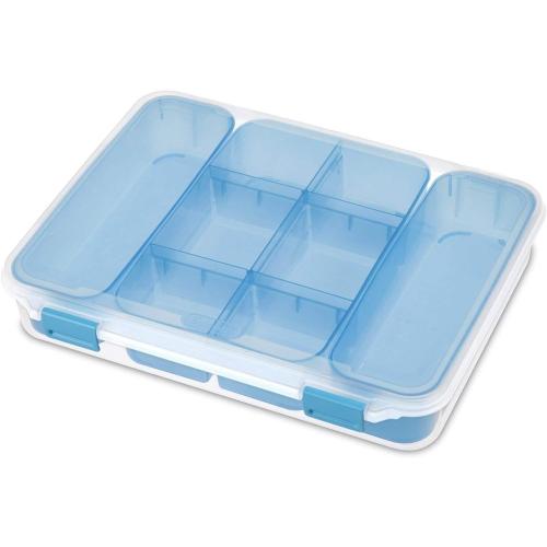 STERILITE Divided Case, Multicolor