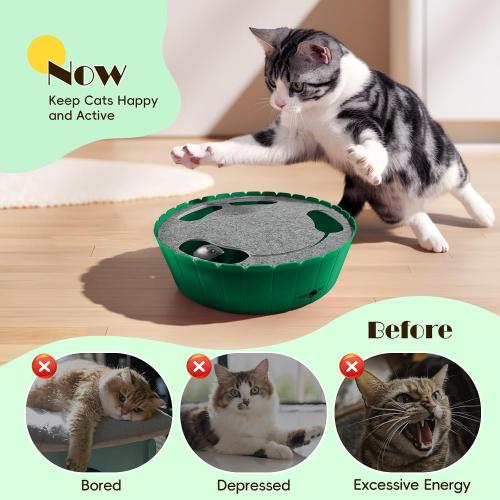 Pawaboo Interactive Cat Toy with Running Mouse, Automatic Track Kitten Toy
