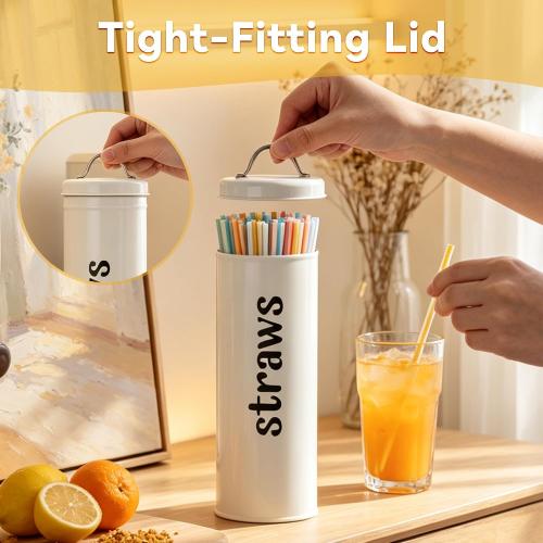 Metal Straw Holder with Handle Lid, 12 Inches Tall Drinking Straw Dispenser