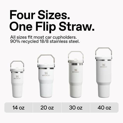 STANLEY IceFlow 2.0 Flip Straw Tumbler, 30 oz, Ash