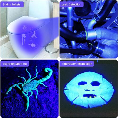 DARKBEAM UV Flashlight Filtered 365nm Black Light Woods Lamp Ringworm, Mini