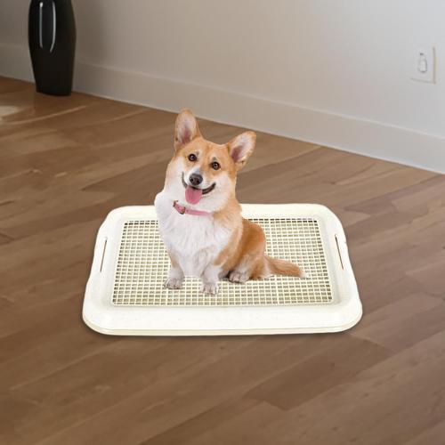 HouseVibe Dog Potty Toilet Training Tray Mesh Potty Tray Anti Slip Removable Pet Indoor Pads Holder for Puppy- White