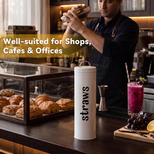 Metal Straw Holder with Handle Lid, 12 Inches Tall Drinking Straw Dispenser