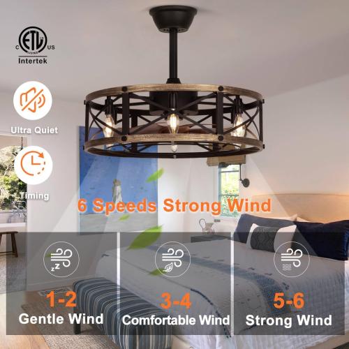 SHLUCE 22 Caged Ceiling Fan with Light and Remote, Farmhouse Fandelier