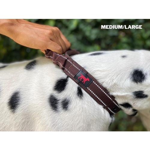 Tuff Pupper Heavy Duty Dog Collar with Handle