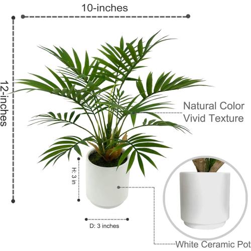 Artificial Palm Tree Plant, Potted Artificial Plant for Home Office Decoration, 12 Tall, Ships in White Ceramic Planter