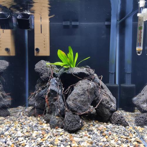 Black Lava Rock 5lb Natural Volcanic Stone for Fish Tank,3 Pcs 4-6 in