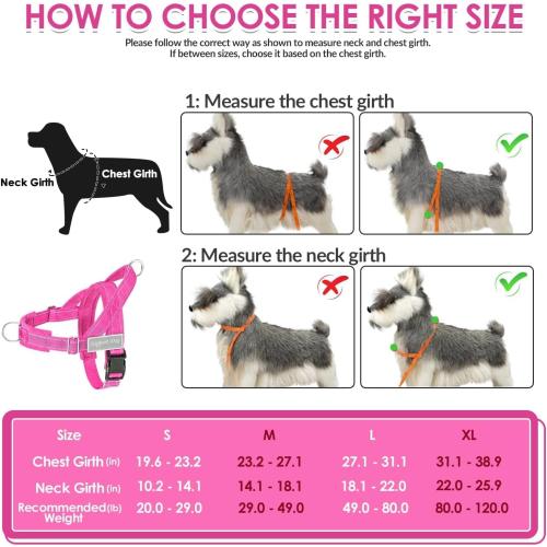 SlowTon No Pull Dog Harness and Leash Set - Heavy Duty, Soft Padded