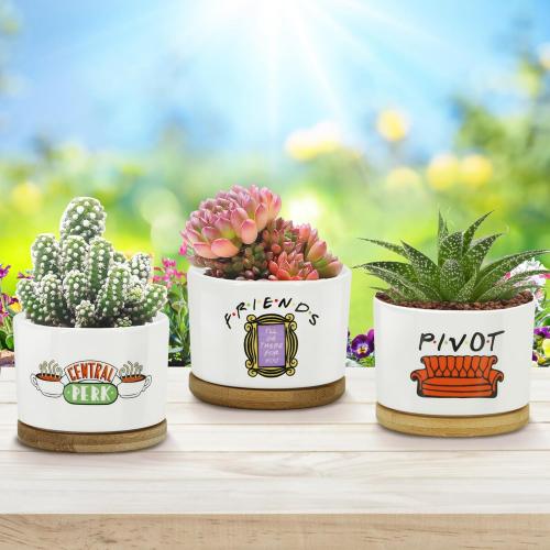 3 Pcs Friends tv Show Cute Merchandise Ceramic Plant Pots,Funny Friends Decor Themed Gifts for Women,for House Plants Garden Planters Succulent Pots(Not Included Plants)
