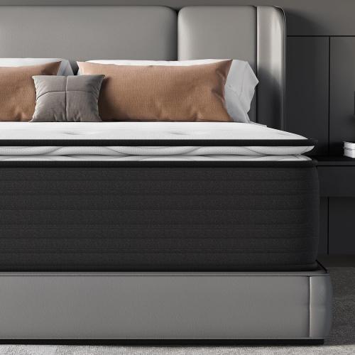 Plush Twin Mattress for Pain and Pressure Relief, 8 inch Hybrid Mattress with Extra Back and Lumbar Support, Fiberglass Free, 365 Nights Trial