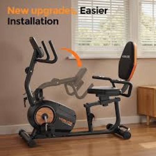 FED Fitness Upgraded YOSUDA Home Recumbent Exercise Bike ...