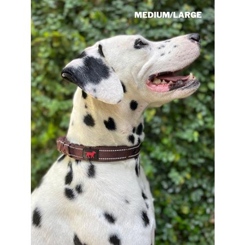 Tuff Pupper Heavy Duty Dog Collar with Handle