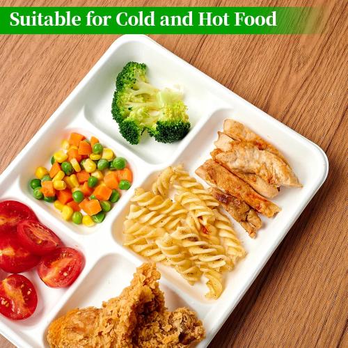 ECOLipak Compostable Disposable 125 Compartment Paper Plates, 10.25inch