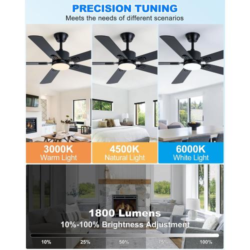 Coolwind 56 Inch Black Ceiling Fan with Display Remote/APP Control