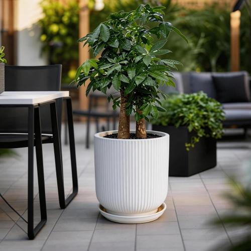 Deep Dream 12 Inch Ceramic Pots for Plants, Heavy Plant Pot for Indoor Outdoor Plants, Large Plant Pot with Drainage Hole and Saucer, Modern Tall Flower Pot, Gifts for Plant Lovers, White