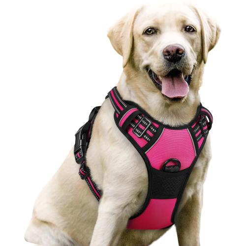 rabbitgoo Dog Harness, No Pull for Large Dogs with 2 Leash Clips, Pet Vest