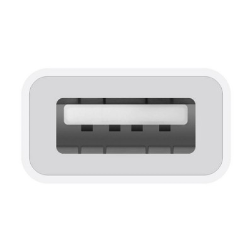 Apple USB-C to USB Adapter - 6.1in