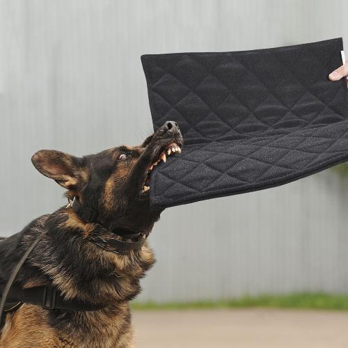 MABOZOO Indestructible Dog Beds - Chew Proof Crate Pad for Aggressive Chewers, Machine Washable Quilted Mat, Durable for Small Dogs, Black Kennel Pad (17x23 in)