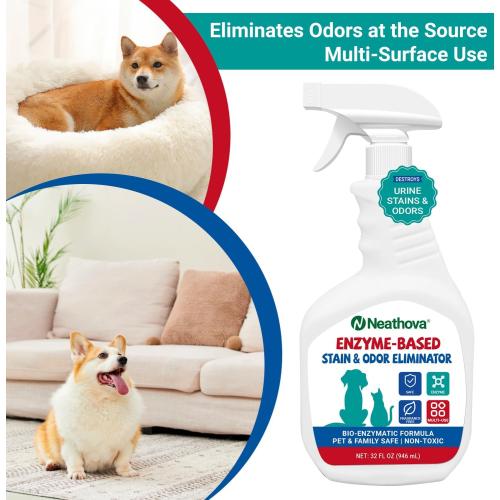 Stain & Strong Odor Eliminator, Enzyme Cleaner, Pet Odor Eliminator for Home - Carpet Stain Remover for Cats & Dog Pee - Urine Destroyer - Carpet Cleaner Spray Clear (Unscented)