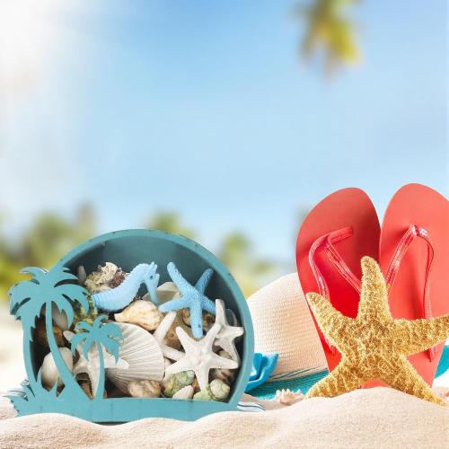 CroBlissful Wooden Seashell Box Clear Lid Shell Holder,Green,Coconut