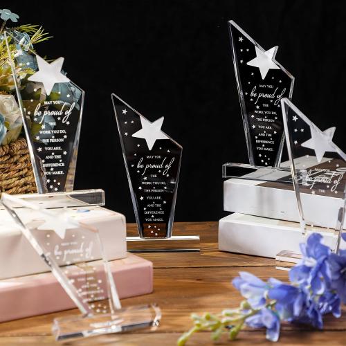 Bucherry 10 Pcs Employee Awards Thank You Trophies Acrylic, Stylish