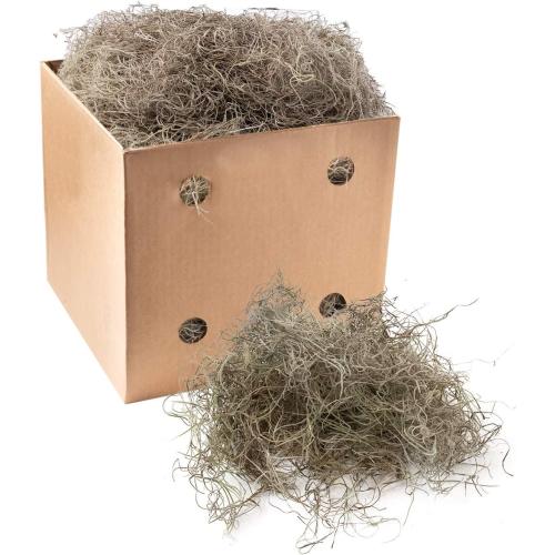 Royal Imports Preserved Natural Spanish Moss, Fresh Dried Shredded Loose Chunks, 3 LB Bulk Case