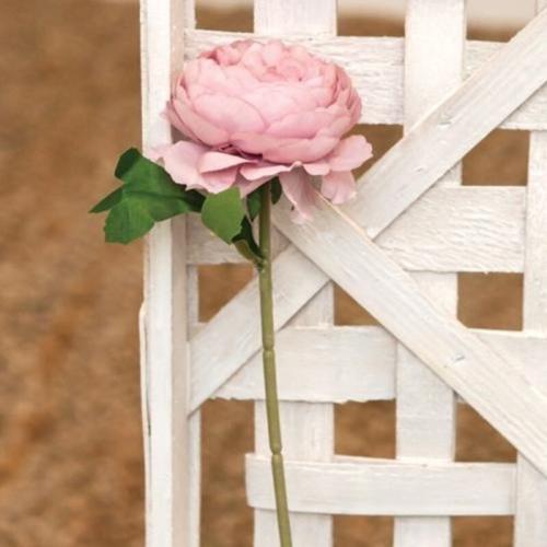 Peony Stem  Pink