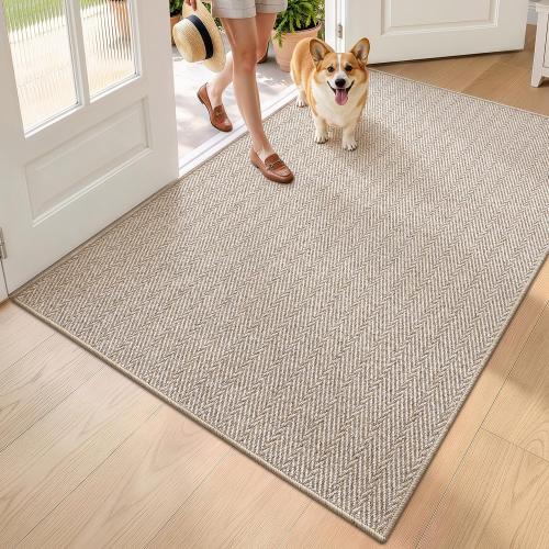 LUMI Ultra Thin Indoor Door Mat 48x72, Entrance Doormat, Beige