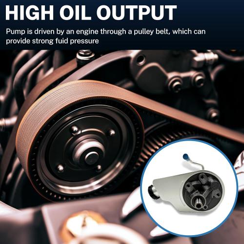 Replace OE 20756710, 26041315, 15077397 20-8704 Power Steering Pump Fits for 2003-2005 Silverado 1500 V6 4.3L/V8 4.8L,for 2002-2006 Sierra 1500 V6 4.3L/V8 4.8L,For 2002-2003 GMC Yukon V8 4.8L/5.3L
