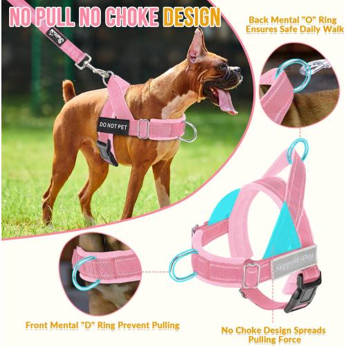 SlowTon No Pull Dog Harness and Leash Set - Heavy Duty, Soft Padded