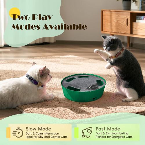 Pawaboo Interactive Cat Toy with Running Mouse, Automatic Track Kitten Toy